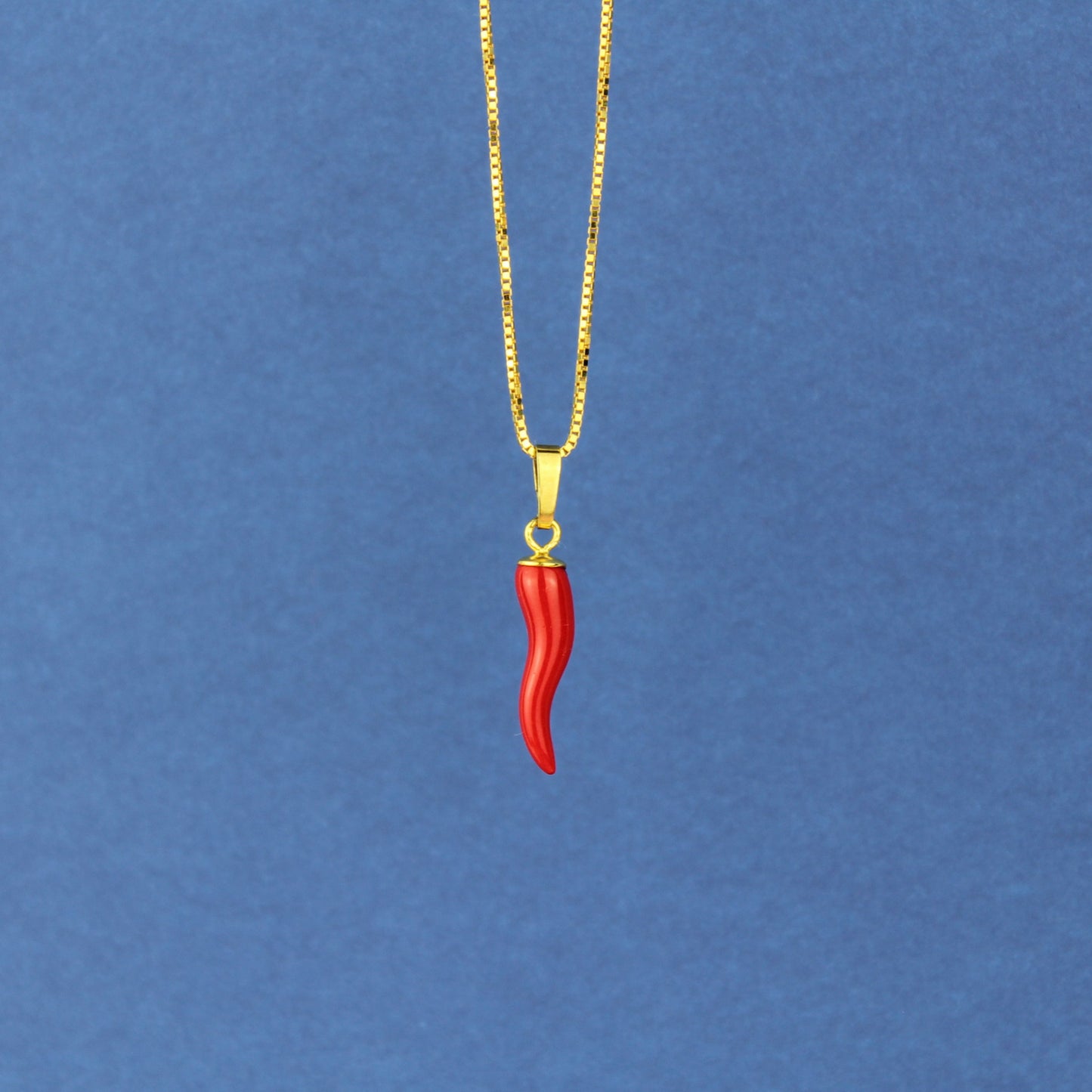 Cornicello Anhänger mit Kette in Gold