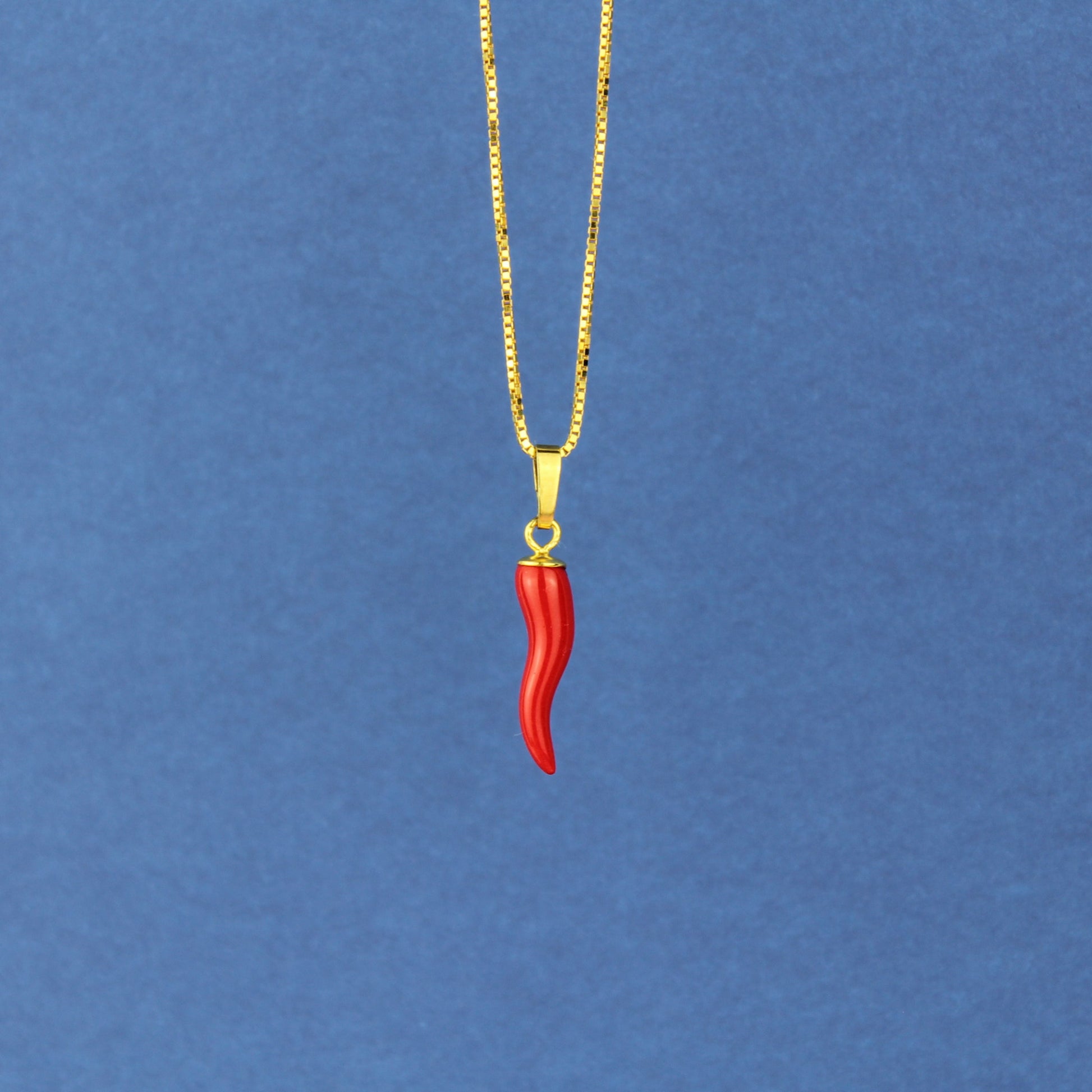 Cornicello Anhänger mit Kette in Gold