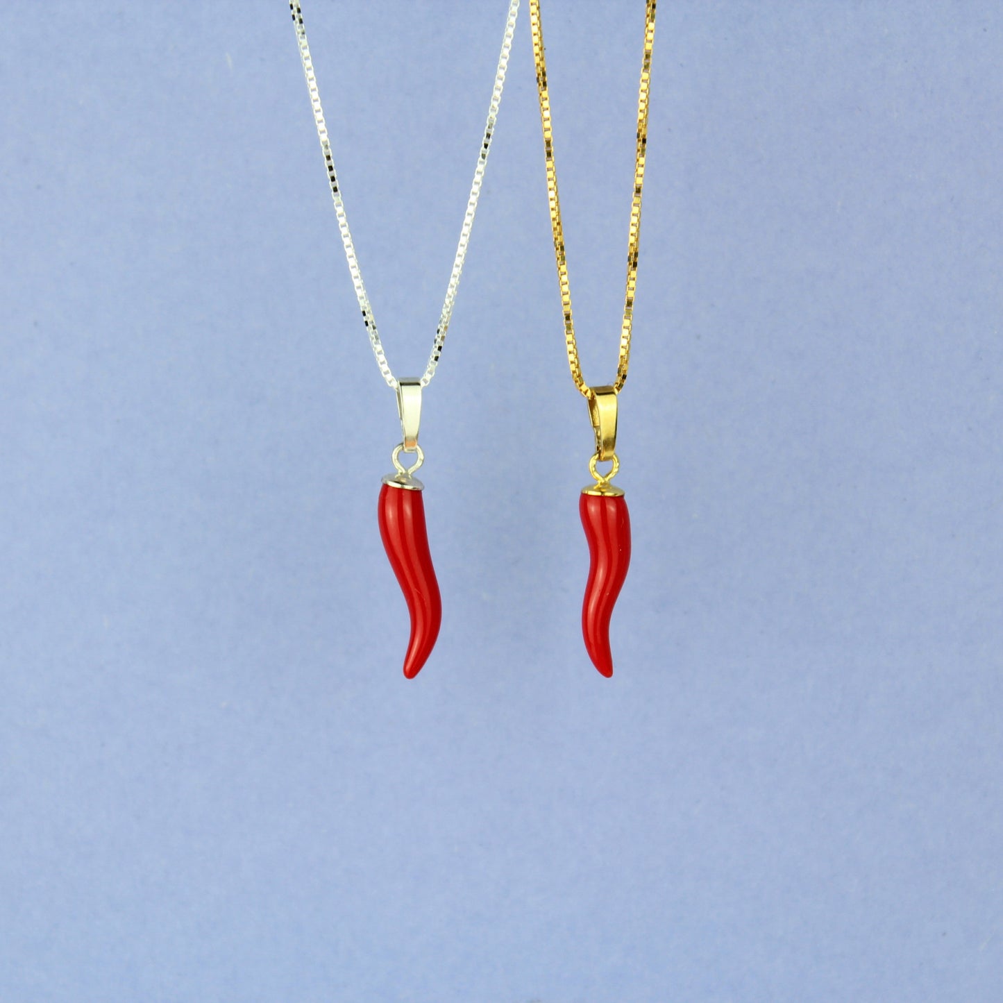 Cornicello Anhänger mit Kette in Gold und Silber
