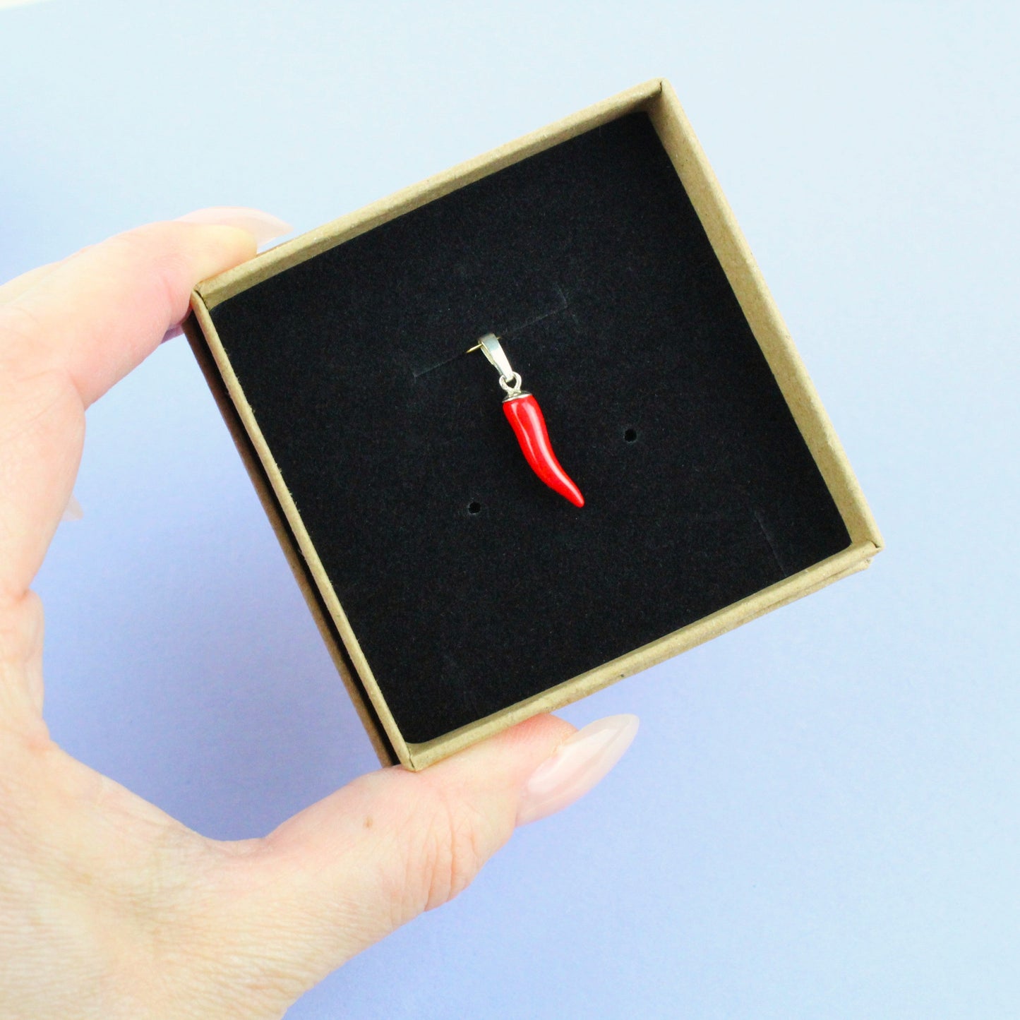 Cornicello Anhänger in sllber in Schmuckbox