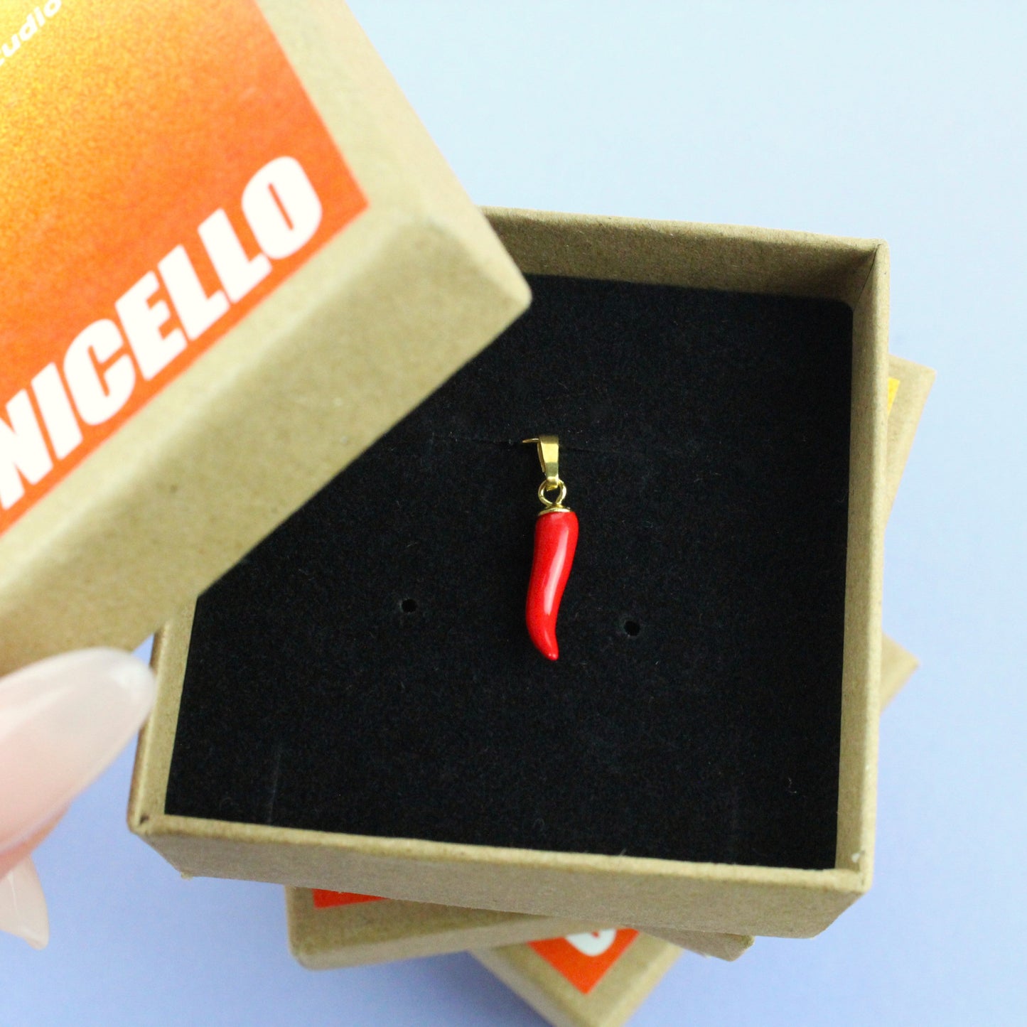 Goldener Cornicello Anhänger in Schmuckbox