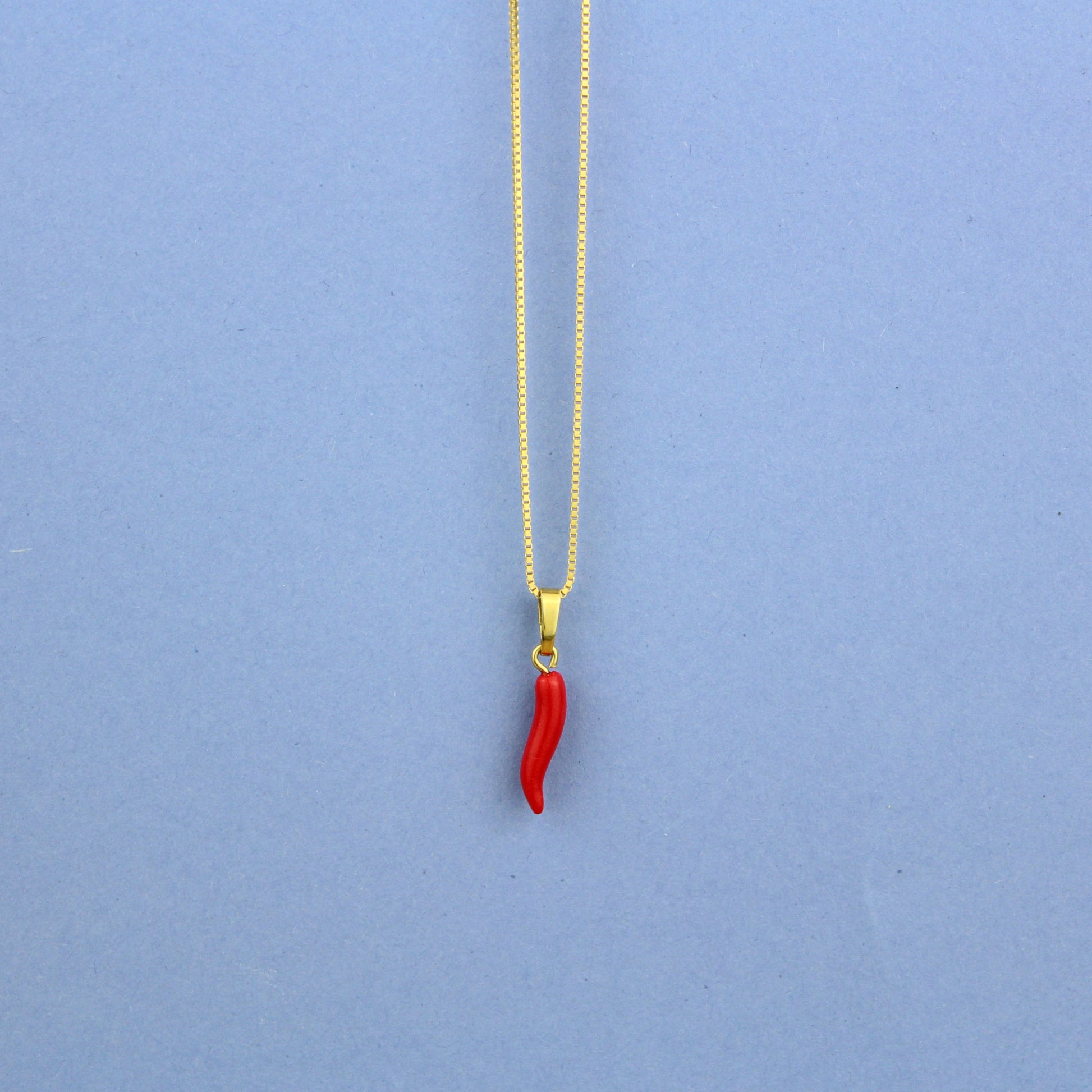 Cornicello Kette | ATELIER ANDA x studio ciao | limited edition - Atelier Anda